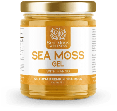 Mango Sea Moss Gel (16oz)