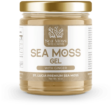 Ginger Sea Moss Gel (16oz)