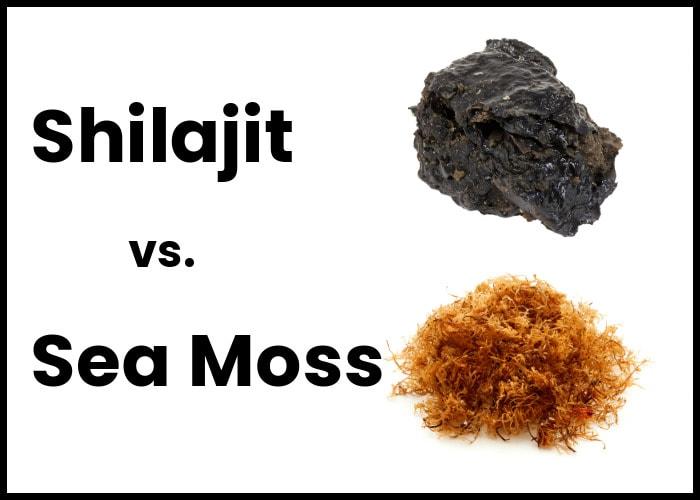 Shilajit vs. Sea Moss: Which One Is Better For You?