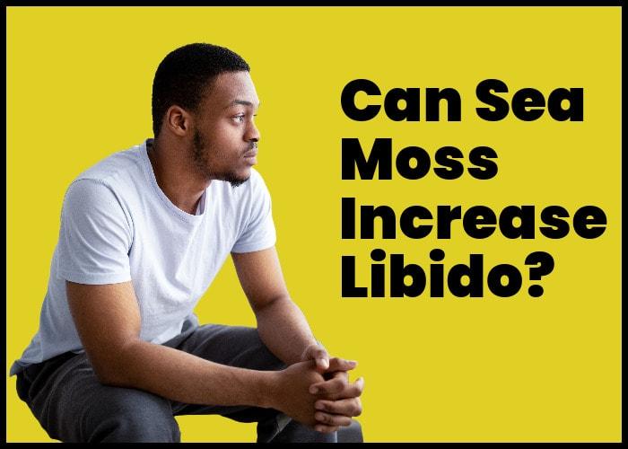 Does Sea Moss Increase Libido & Boost Your Sex Drive?
