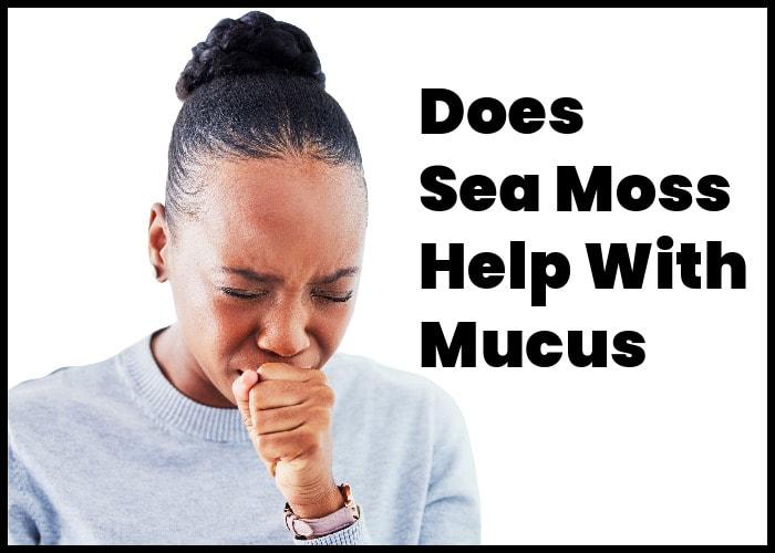 Sea Moss for Mucus | Does Sea Moss Help With Mucus Relief?