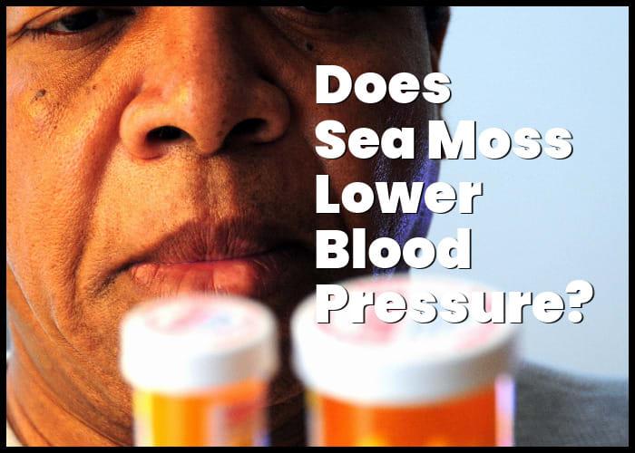 Is Sea Moss Good For High Blood Pressure? Let's Explore The Facts