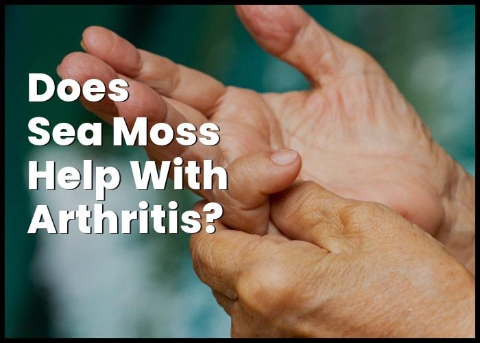 Sea Moss for Arthritis and Joint Pain