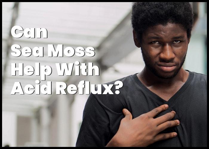 Discover Sea Moss for Acid Reflux Relief: Natural Remedies Unveiled!