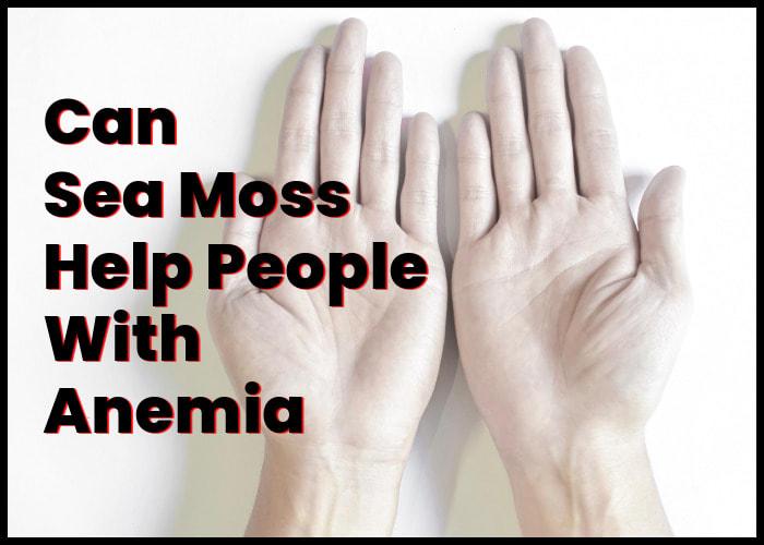 Sea Moss for Anemia: Nature's Answer to Iron Deficiency