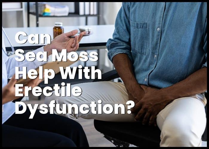 Sea Moss for Erectile Dysfunction | The Ocean's Natural ED Solution
