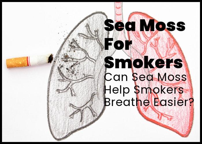 Sea Moss for Smokers: Can Sea Moss Help People Who Smoke?