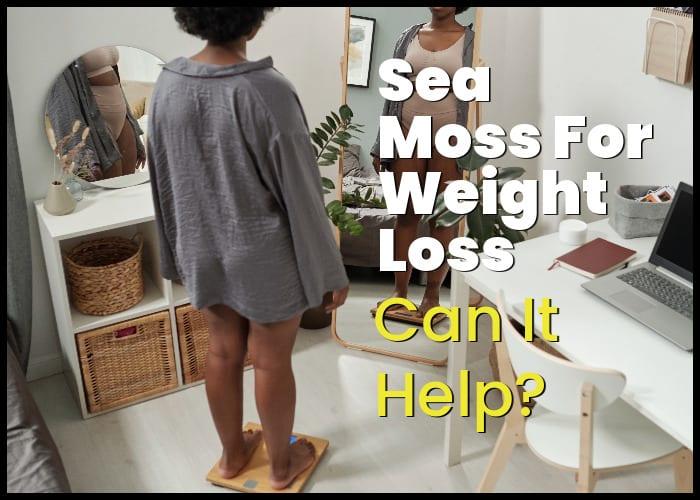 Sea Moss for Weight Loss: Can Sea Moss Help You Lose Weight in 2024?