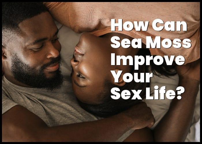 Sea Moss Sexual Benefits: How Sea Moss Can Help Improve Your Sex Life