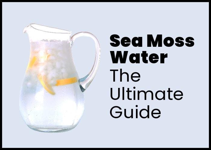 Sea Moss Water | The Ultimate Guide on How to Make it and Use it