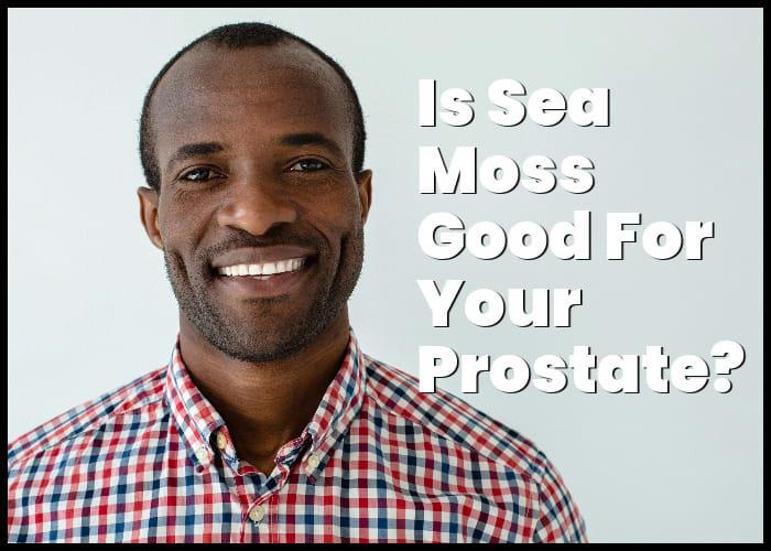 Is Sea Moss Good for Prostate Cancer? Exploring the Potential Benefits