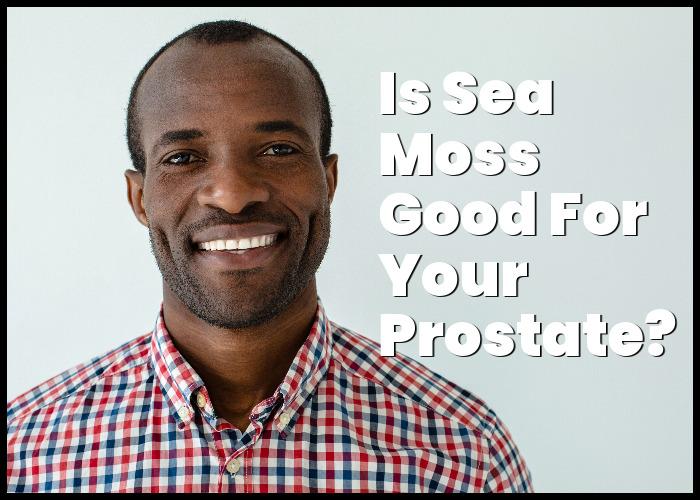 Is Sea Moss Good for Prostate Cancer?